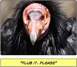 Bad Behaviours: The Hungry Vulture