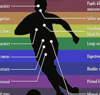 What Stress Does to Your Body