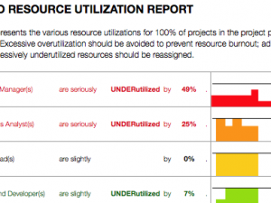 The Annual Project Portfolio Capacity Planner